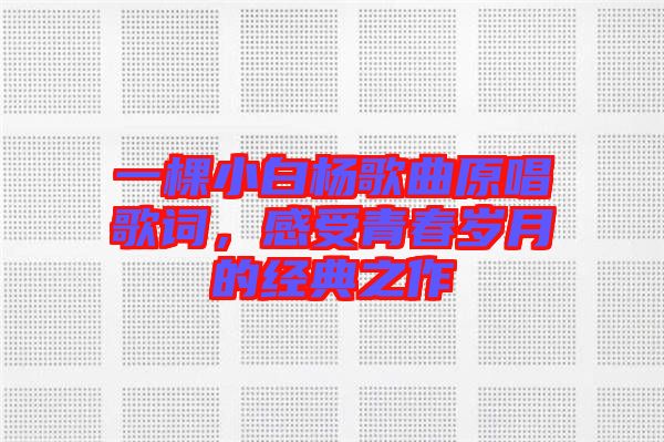 一棵小白楊歌曲原唱歌詞，感受青春歲月的經(jīng)典之作