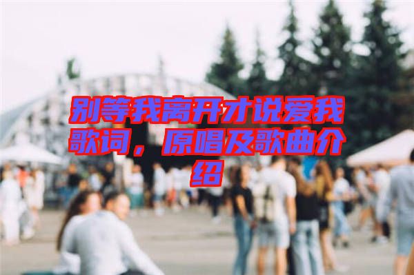 別等我離開(kāi)才說(shuō)愛(ài)我歌詞，原唱及歌曲介紹
