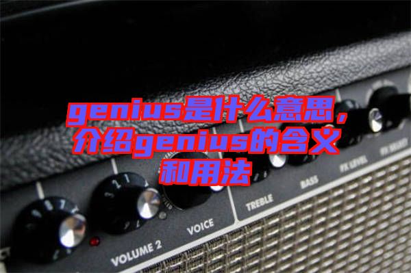 genius是什么意思，介紹genius的含義和用法