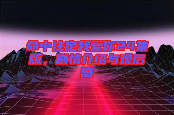 命中注定我愛你24集版，劇情介紹與觀后感