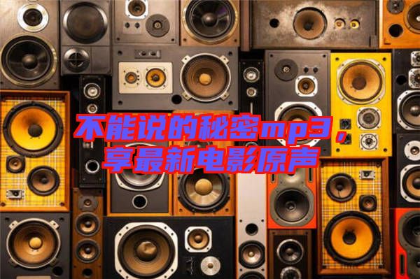 不能說(shuō)的秘密mp3，享最新電影原聲