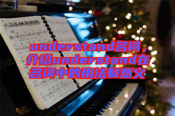 understand名詞，介紹understand在名詞中的用法和意義