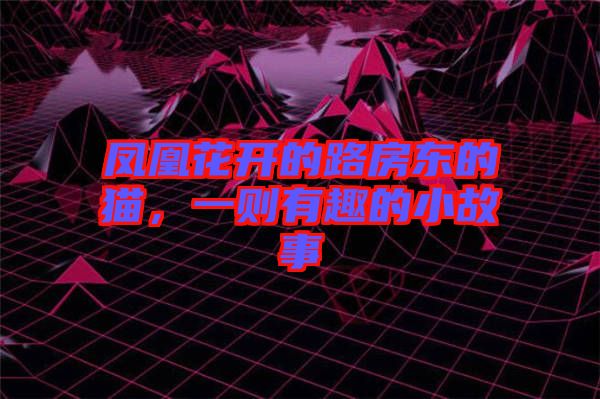 鳳凰花開的路房東的貓，一則有趣的小故事