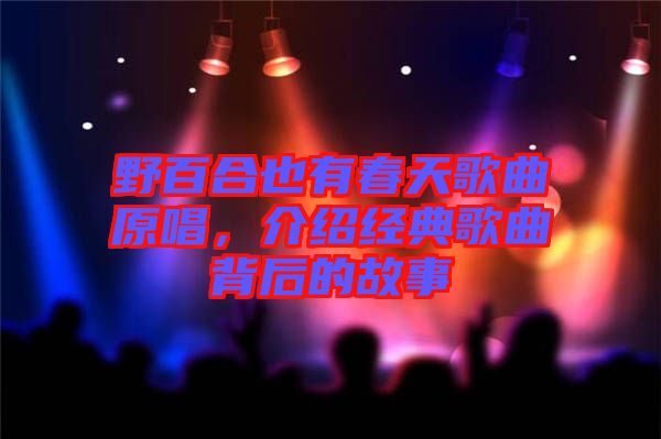 野百合也有春天歌曲原唱，介紹經(jīng)典歌曲背后的故事