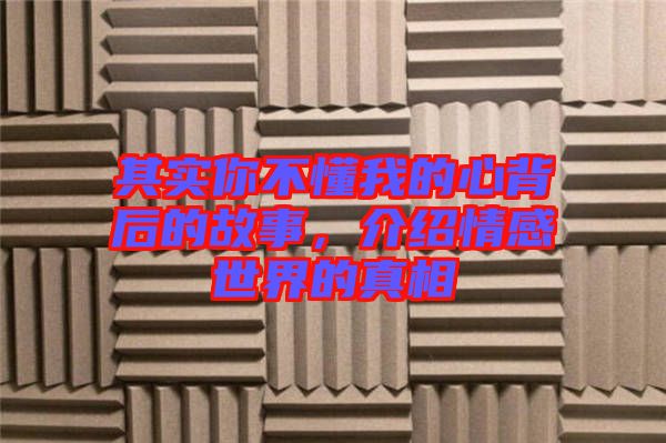其實(shí)你不懂我的心背后的故事，介紹情感世界的真相