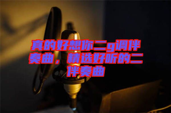 真的好想你二g調(diào)伴奏曲，精選好聽(tīng)的二伴奏曲
