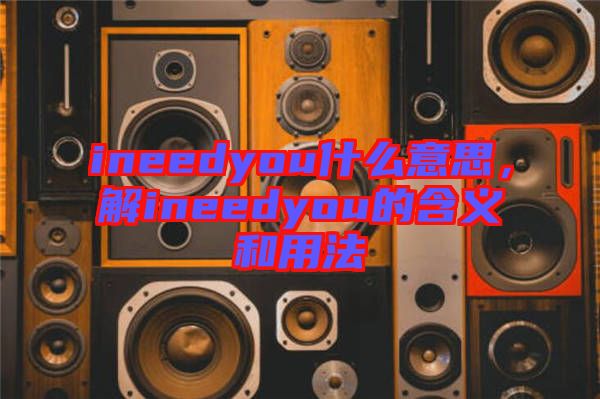 ineedyou什么意思，解ineedyou的含義和用法