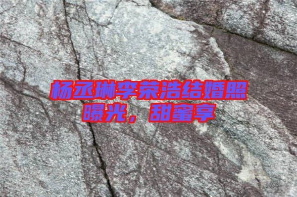 楊丞琳李榮浩結(jié)婚照曝光，甜蜜享