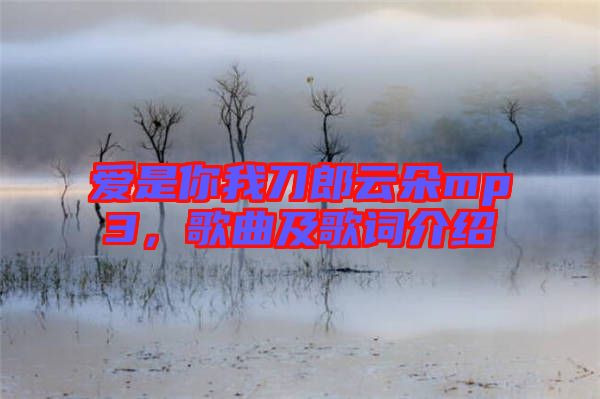 愛是你我刀郎云朵mp3，歌曲及歌詞介紹