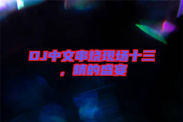 DJ中文串燒現(xiàn)場(chǎng)十三，精的盛宴