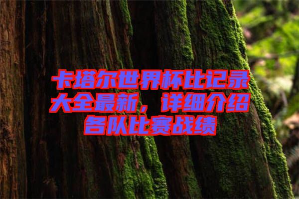 卡塔爾世界杯比記錄大全最新，詳細(xì)介紹各隊(duì)比賽戰(zhàn)績