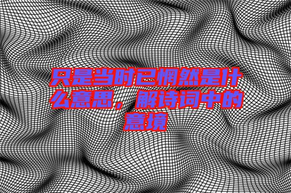 只是當(dāng)時(shí)已惘然是什么意思，解詩(shī)詞中的意境
