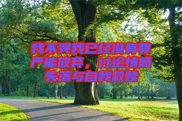 我不哭我已經(jīng)沒有尊嚴能放棄，討論情感失落與自我救贖