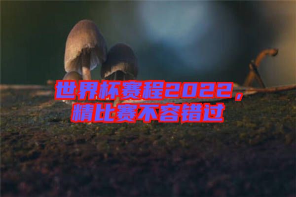 世界杯賽程2022，精比賽不容錯(cuò)過