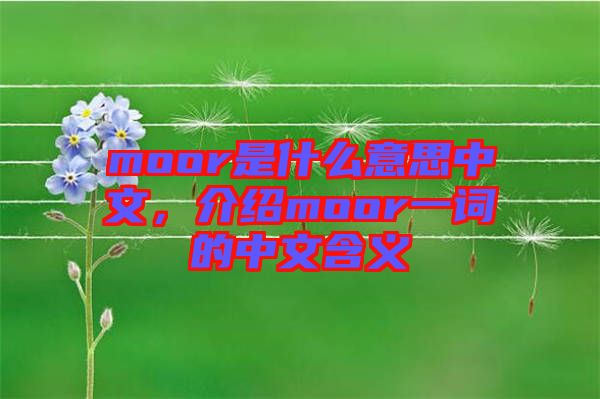moor是什么意思中文，介紹moor一詞的中文含義