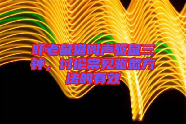 嚇老鼠貓叫聲驅鼠三鐘，討論常見驅鼠方法的有效