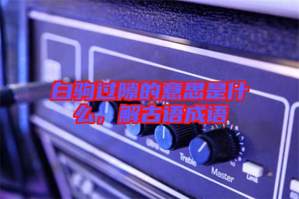 白駒過隙的意思是什么，解古語成語