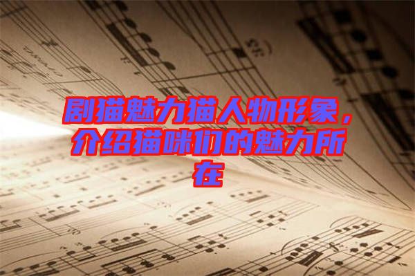 劇貓魅力貓人物形象，介紹貓咪們的魅力所在