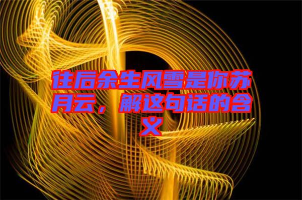 往后余生風(fēng)雪是你蘇月云，解這句話的含義