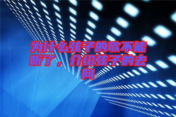 為什么弦子的歌不能聽了，介紹弦子的去向