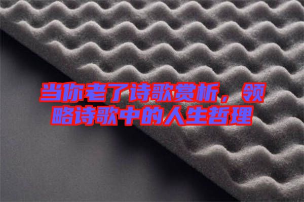 當(dāng)你老了詩歌賞析，領(lǐng)略詩歌中的人生哲理