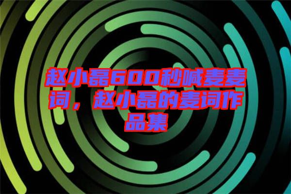 趙小磊600秒喊麥麥詞，趙小磊的麥詞作品集