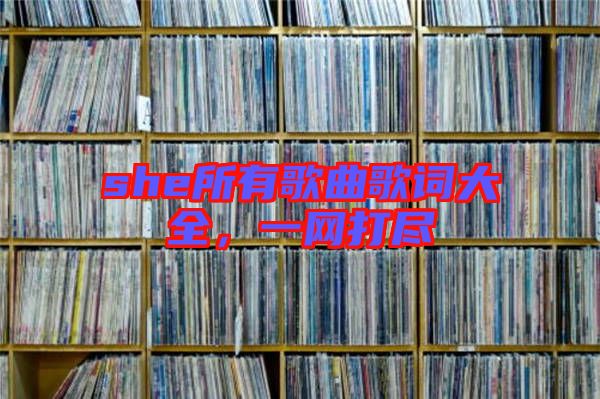 she所有歌曲歌詞大全，一網(wǎng)打盡