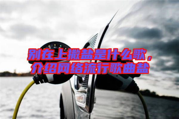 別在上撒鹽是什么歌，介紹網(wǎng)絡(luò)流行歌曲鹽