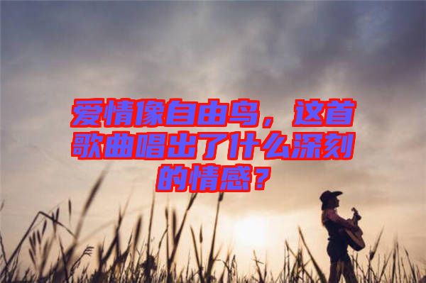 愛情像自由鳥，這首歌曲唱出了什么深刻的情感？