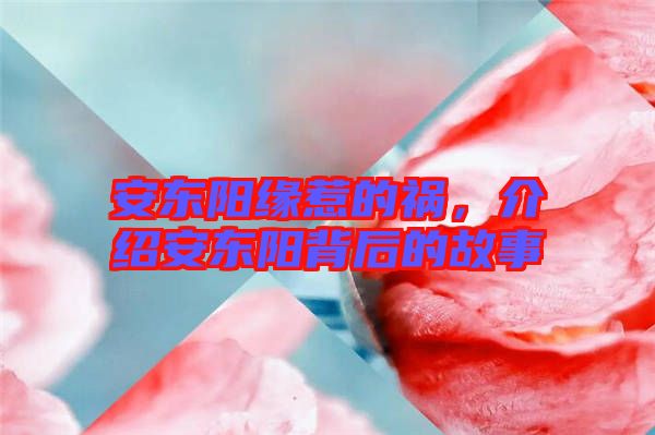 安東陽緣惹的禍，介紹安東陽背后的故事
