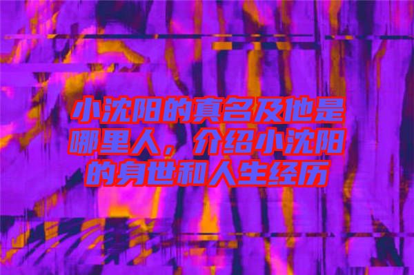 小沈陽的真名及他是哪里人，介紹小沈陽的身世和人生經歷