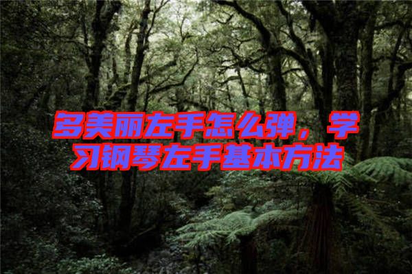 多美麗左手怎么彈，學(xué)習(xí)鋼琴左手基本方法