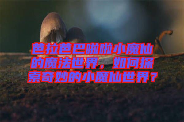 芭拉芭巴啦啦小魔仙的魔法世界，如何探索奇妙的小魔仙世界？