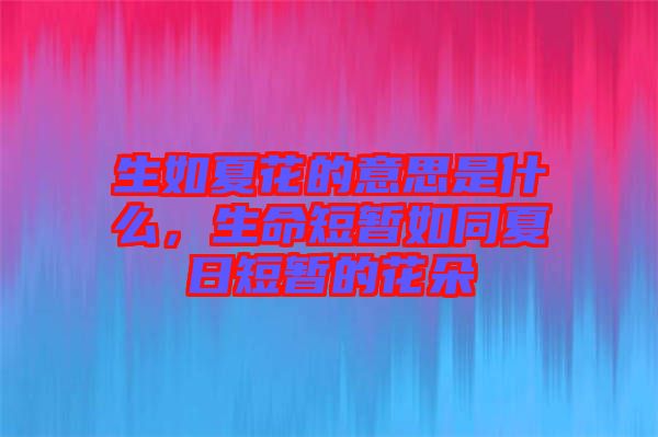 生如夏花的意思是什么，生命短暫如同夏日短暫的花朵