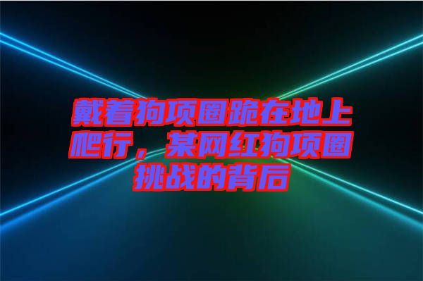 戴著狗項(xiàng)圈跪在地上爬行，某網(wǎng)紅狗項(xiàng)圈挑戰(zhàn)的背后