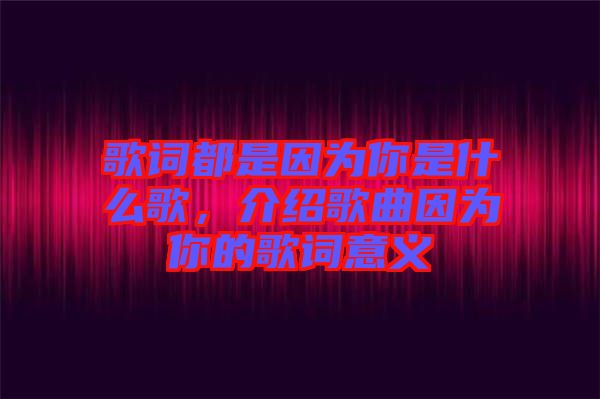 歌詞都是因為你是什么歌，介紹歌曲因為你的歌詞意義