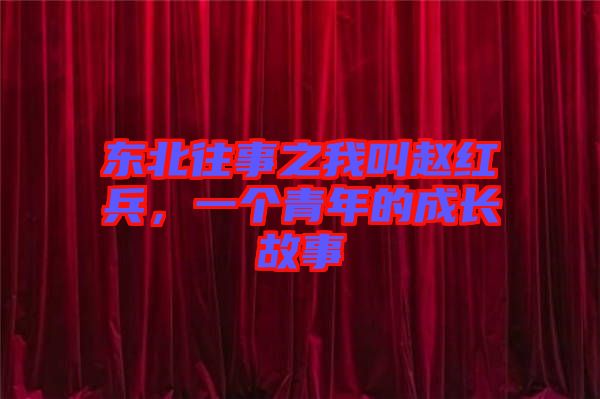 東北往事之我叫趙紅兵，一個(gè)青年的成長故事