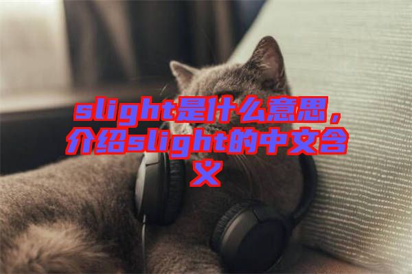 slight是什么意思，介紹slight的中文含義
