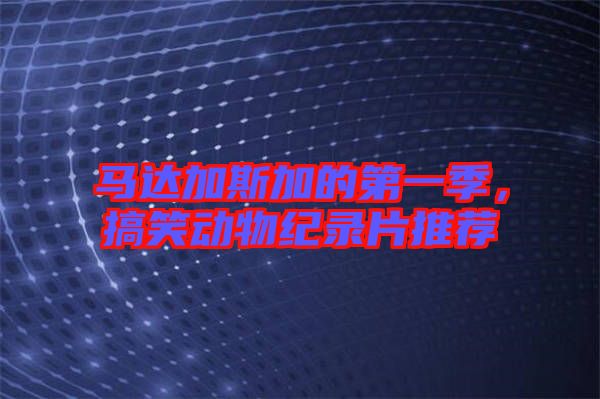 馬達加斯加的第一季，搞笑動物紀錄片推薦