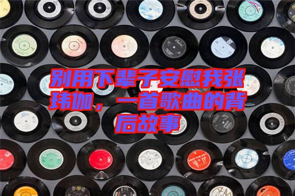 別用下輩子安慰我張瑋伽，一首歌曲的背后故事