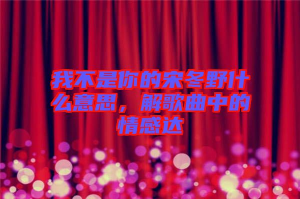我不是你的宋冬野什么意思，解歌曲中的情感達(dá)