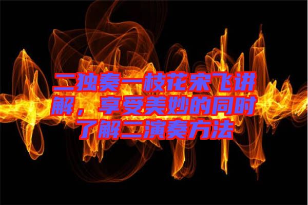 二獨奏一枝花宋飛講解，享受美妙的同時了解二演奏方法