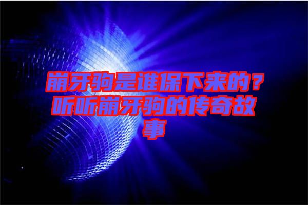 崩牙駒是誰保下來的？聽聽崩牙駒的傳奇故事