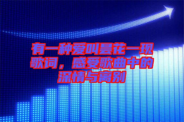 有一種愛叫曇花一現(xiàn)歌詞，感受歌曲中的深情與離別