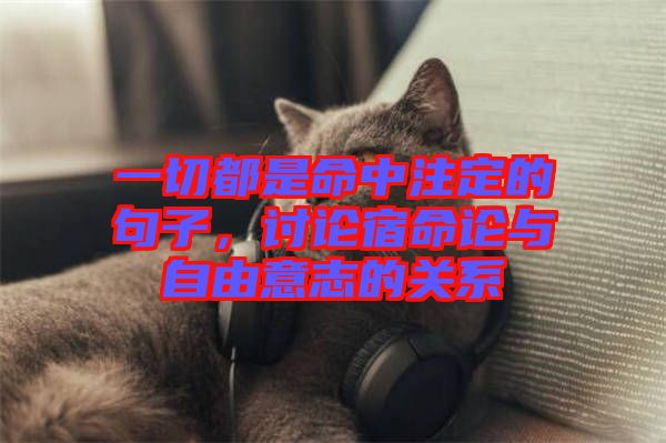 一切都是命中注定的句子，討論宿命論與自由意志的關(guān)系