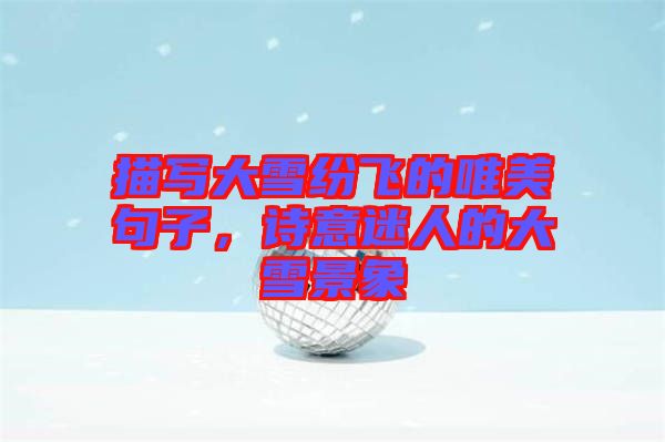 描寫大雪紛飛的唯美句子，詩(shī)意迷人的大雪景象