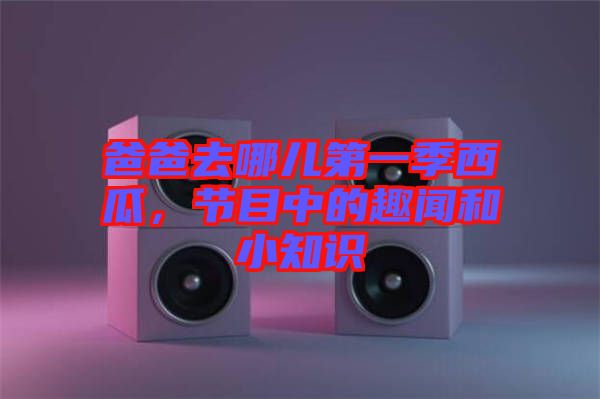 爸爸去哪兒第一季西瓜，節(jié)目中的趣聞和小知識