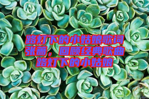 路燈下的小姑娘歌詞張薔，回顧經(jīng)典歌曲路燈下的小姑娘