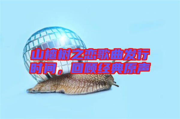 山楂樹之戀歌曲發(fā)行時間，回顧經(jīng)典原聲
