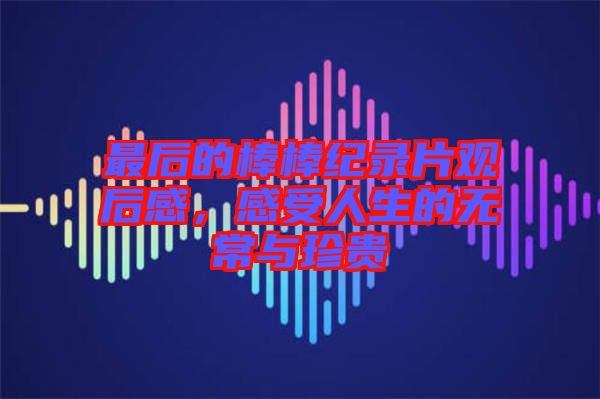 最后的棒棒紀(jì)錄片觀后感，感受人生的無(wú)常與珍貴